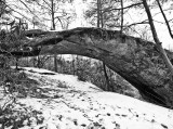 Indian Arch in February