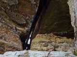 Rock and Tildy Arch #2