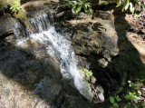 Noah's Spout