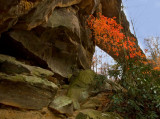Natural Bridge