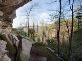 Late winter in the gorge