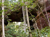 Sandy Arch