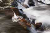 Wahkeena Creek Ice