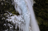 More of Horsetail Falls