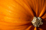 Pumpkin End