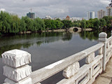 Garden and city