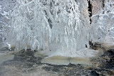 Formation of ice on trees