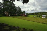 White horse green landscape