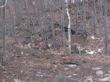 IMG_0483.JPG