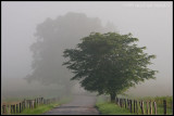 _website-landscape