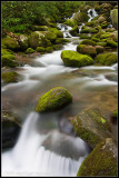 _ADR0998 roaring fork c2wf.jpg