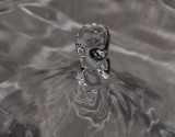 _MG_0255 Droplet 2