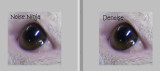 NN-Denoise Compared