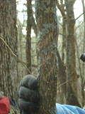 11-21-2009 Keeping Track training at Squam Lake