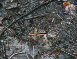 2007 September 24 Tracking Southside