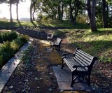 Early Autumn light