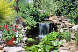 West Frankfort Water Gardens 2009