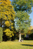 Image06.jpg