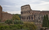 the Coliseum