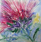 Thistle 80 Sold