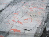 Rock Art at Alta