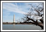 WashingtonMonument15