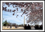 Washington Monument 18