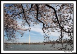 Washington Monument 9