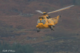 Sea King 1