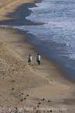 Laguna Beach, 22 decembre 2009