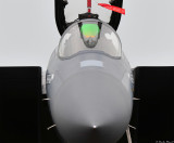 F-15E nose shot