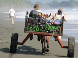 Transport on Corcovado Beach.