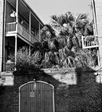 In the Vieux Carre #7 (Two skulls), New Orleans, 2010.jpg