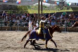 Joust