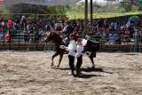Joust