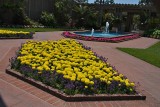 On the grounds of Sherman Gardens, Corona Del Mar