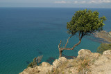 Akamas Peninsula Coastline 11