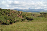 Cliffs at St Bees 06