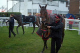 Den of Iniquity and The Jazz Musician in the Winners Enclosure 05