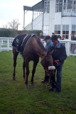 Quartano in the Winners Enclosure 13