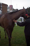 The Jazz Musician in the Winners Enclosure 12