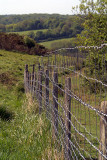 Fence in Temple Ewell-Lydden Nature Reserve