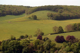 View from Temple Ewell-Lydden Nature Reserve