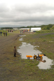 Toy Dumper Truck in Puddle 02