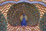 Peacock Detail  - City Palace