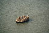 For the Burning Ghats