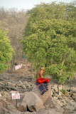 Saddhu Meditating