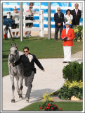 Olympic_Trot-up_27.jpg