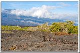 Galapagos 06-22-09_332.jpg