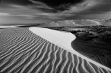 dunes2bw.jpg